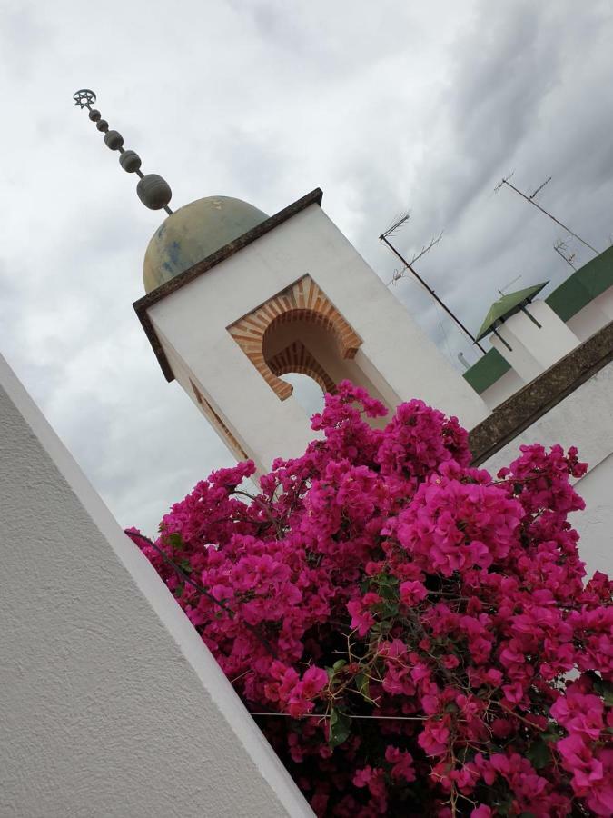 Entre 2 Mezquitas Apartamento 8 コルドバ エクステリア 写真