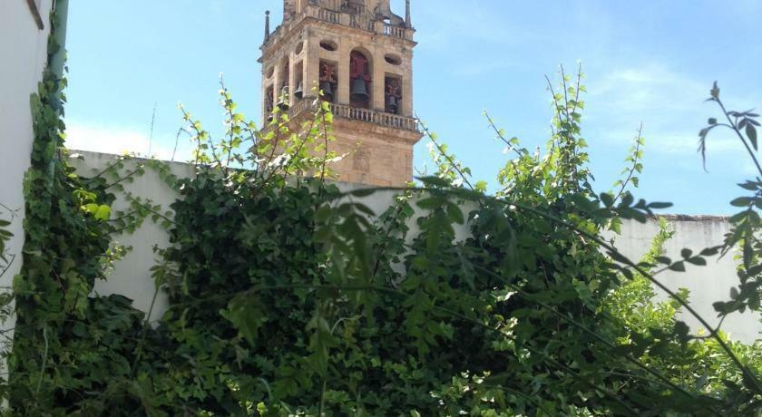 Entre 2 Mezquitas Apartamento 8 コルドバ エクステリア 写真